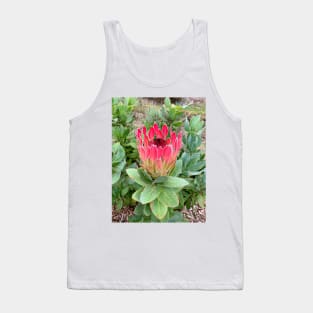 Lavender Farms Study 1 Tank Top